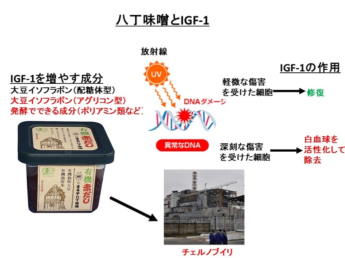 円形脱毛症　病院